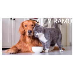 ALI Y RAMO
