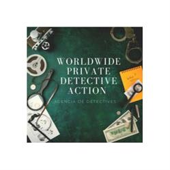 WORLDWIDE PRIVATE DETECTIVE ACTION