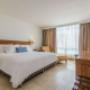 1 Bedroom Suite-King Bed-Ocean View