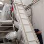Elevador de Cinta