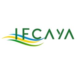 INGENIEROS FORESTALES CONSULTORES Y ASOCIADOS S.A.S. - IFCAYA S.A.S.