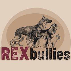 REXbullies