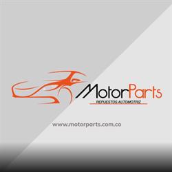 Motor Parts