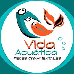 Vida Acuatica