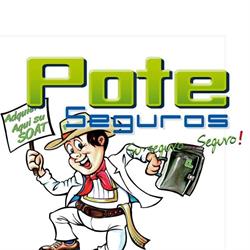 Pote Seguros