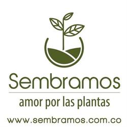 Sembramos