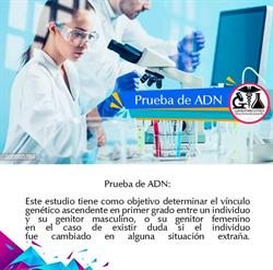 Laboratorio Clínico Alicia Fernanda Jaramillo