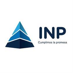 INP PROYECTOS