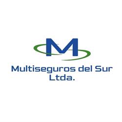 Multiseguros Del Sur LTDA