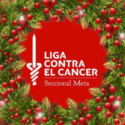 Liga Contra el Cáncer Seccional Meta