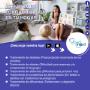 Servicios de Fonoaudiologo