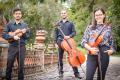 Trio de cuerdas para bodas