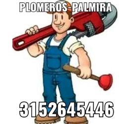 .SERVIPLOMEROS PALMIRA