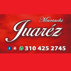 Técnico de Puertas Eléctricas RJG