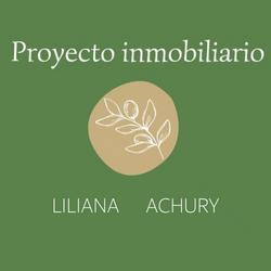 Proyecto inmobiliario Liliana Achury