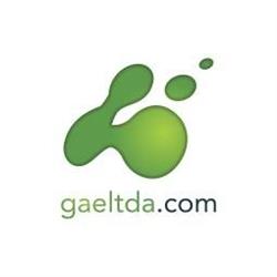 Grupo Alianza Estratégica Gae Ltda.