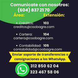 COOPERATIVA MULTIACTIVA EL BAGRE LTDA.