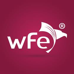 WFE SEGUROS