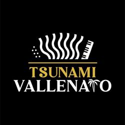 Parranda vallenata Grupo tsunami