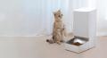 servicio tecnico para comederos y bebederos para gatos y perros
