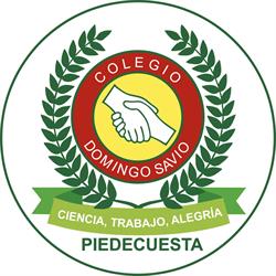Colegio Domingo Savio