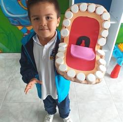 JARDÍN INFANTIL ARCA DEL SABER