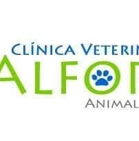 ALFORT Animal Care