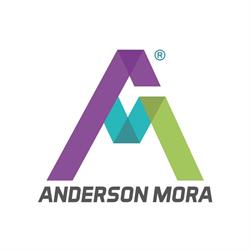 ANDERSON MORA CONSULTORES SAS
