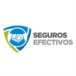 SEGUROS EFECTIVOS