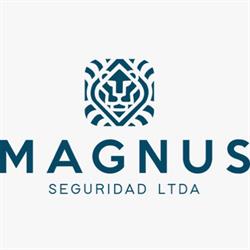 Magnus Seguridad Ltda