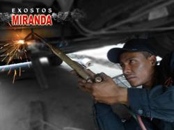 EXOSTOS MIRANDA