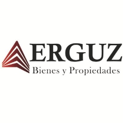ERGUZ INMOBILIARIA
