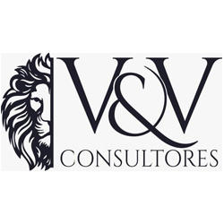 V&V Consultores