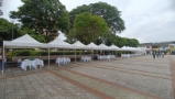 carpas