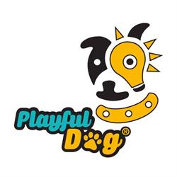 Playful Dog