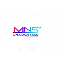 Mns Cargo Express Sas