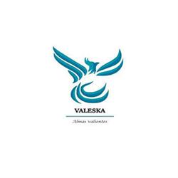 Fundación Integral Valeska