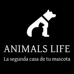 Animals Life