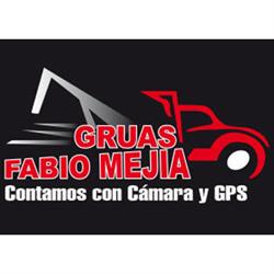 GRÚAS FABIO MEJÍA S.A.S.