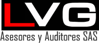 LVG Asesores y Auditores SAS