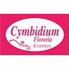 Cymbidium Floristería