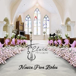 E.Margarita Hincapie Musica Bodas Medellin