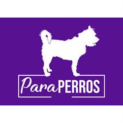 Guardería Para Perros - Hotel y días recreativos Caninos