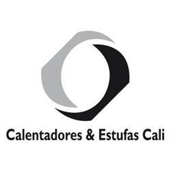 Servicios Técnicos Calentador a Gas