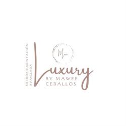 Luxury brows by Mawee
