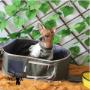 Boutique-Spa-veterinaria para Mascotas🐾