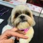 Boutique-Spa-veterinaria para Mascotas🐾