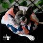 Boutique-Spa-veterinaria para Mascotas🐾
