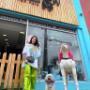 Boutique-Spa-veterinaria para Mascotas🐾