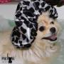 Boutique-Spa-veterinaria para Mascotas🐾